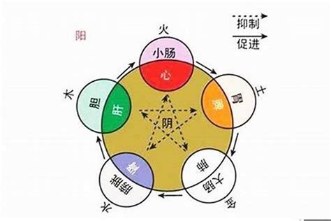 劉 五行|刘的五行属性是什么